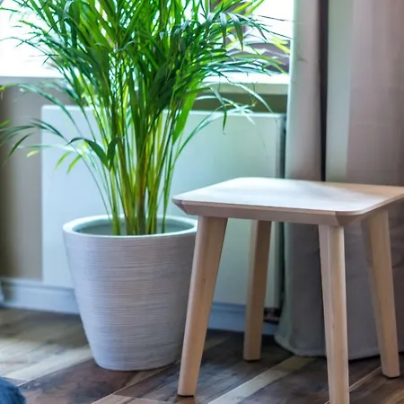Havana Apartament Premium Przy Starym Rynku Apartament *