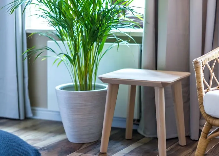 Havana Apartament Premium Przy Starym Rynku Hotel *